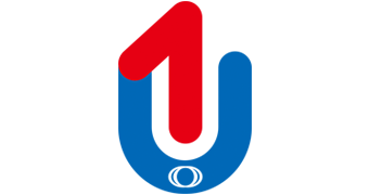 양(Positive) [이미지]