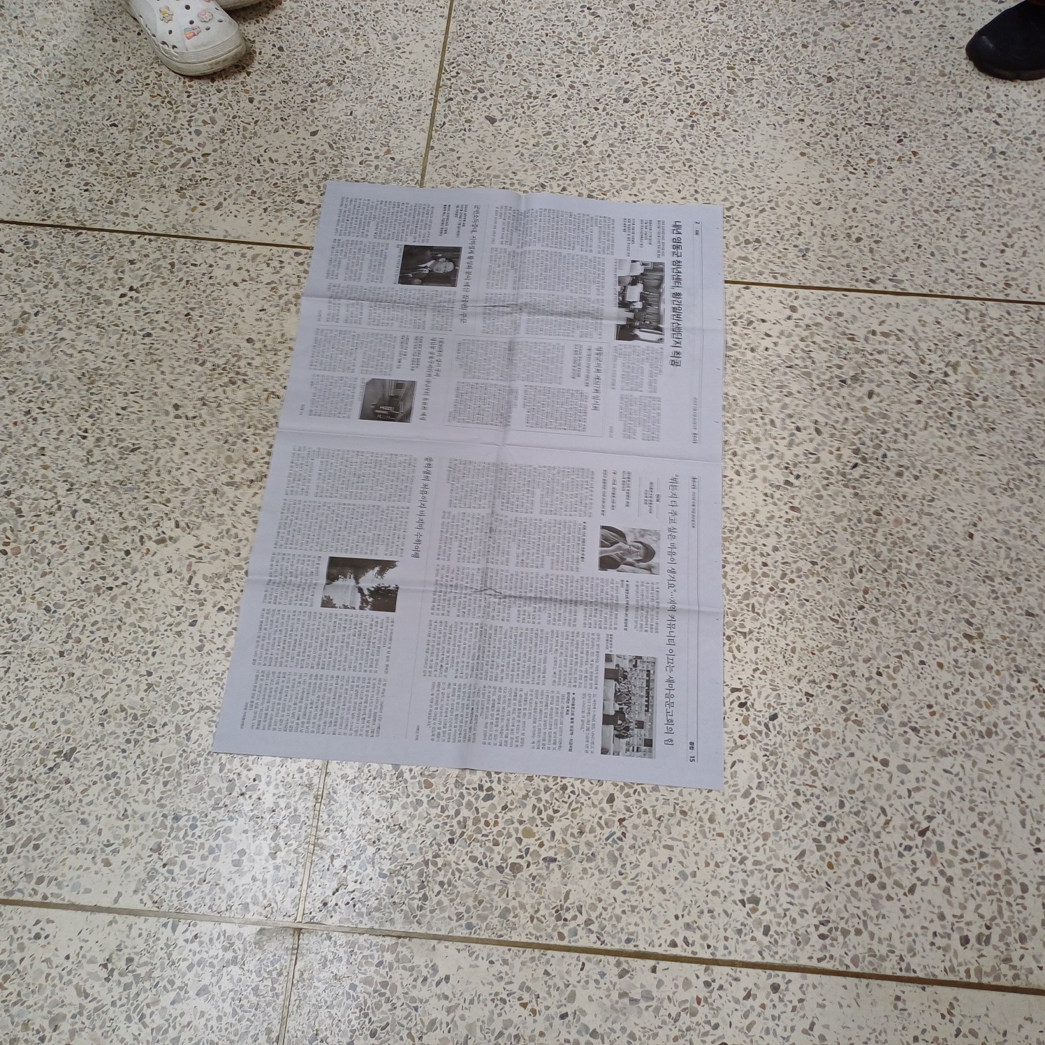 2023학년도 2학기 통감자 동아리 #7